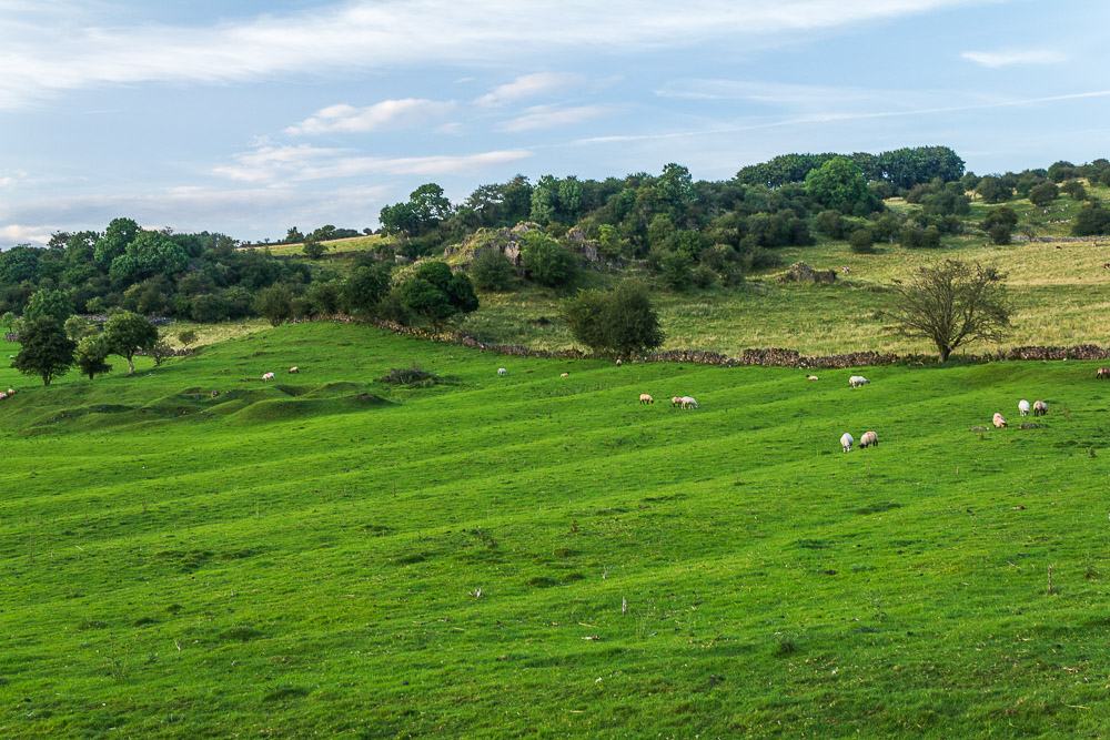 Brassington Moor Brassington Moor
